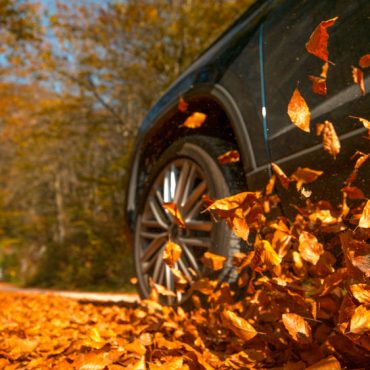 Close up of car driving through leaves in fall