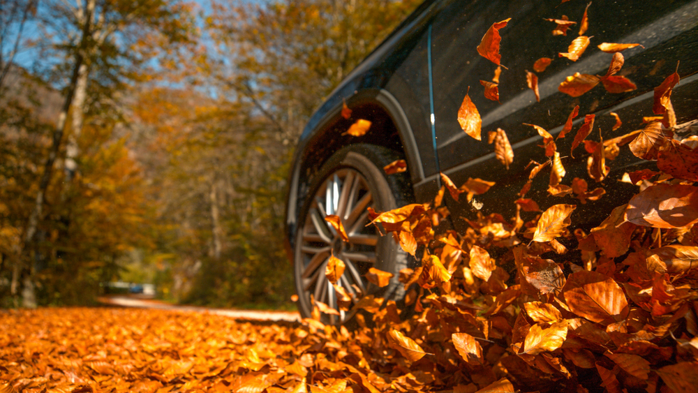 Close up of car driving through leaves in fall
